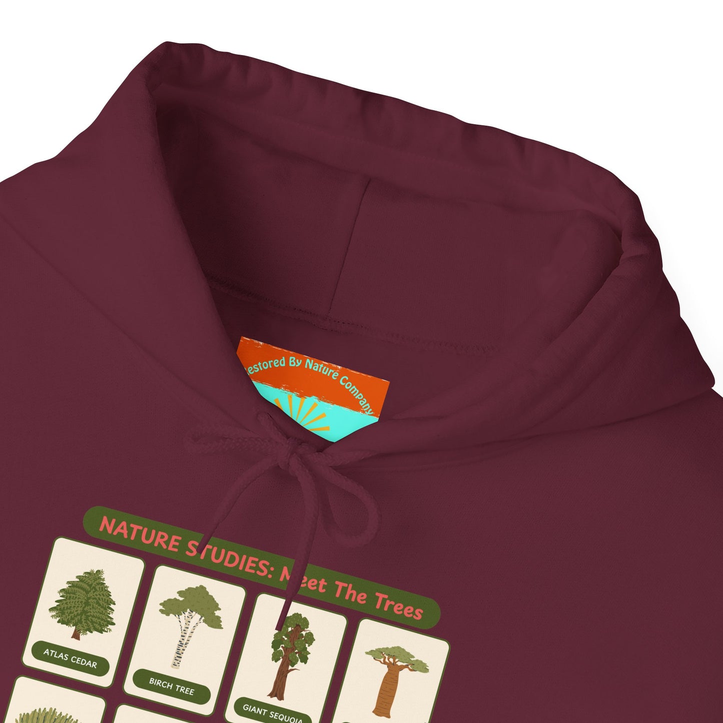 Nature Studies: Meet The Trees Hoodie