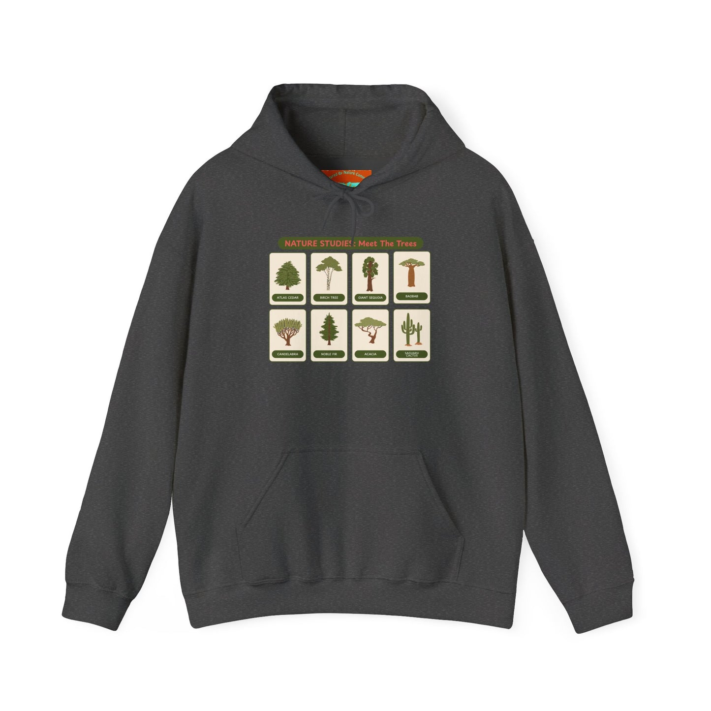 Nature Studies: Meet The Trees Hoodie