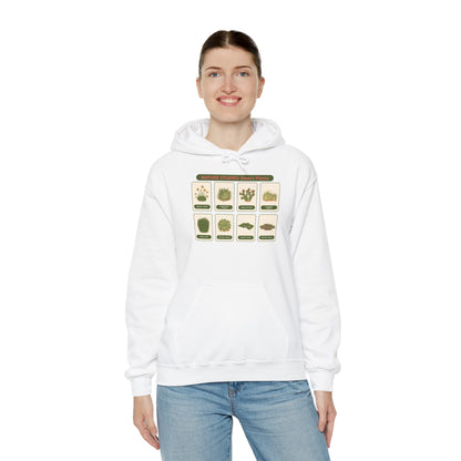 Nature Studies: Desert Plants Hoodie