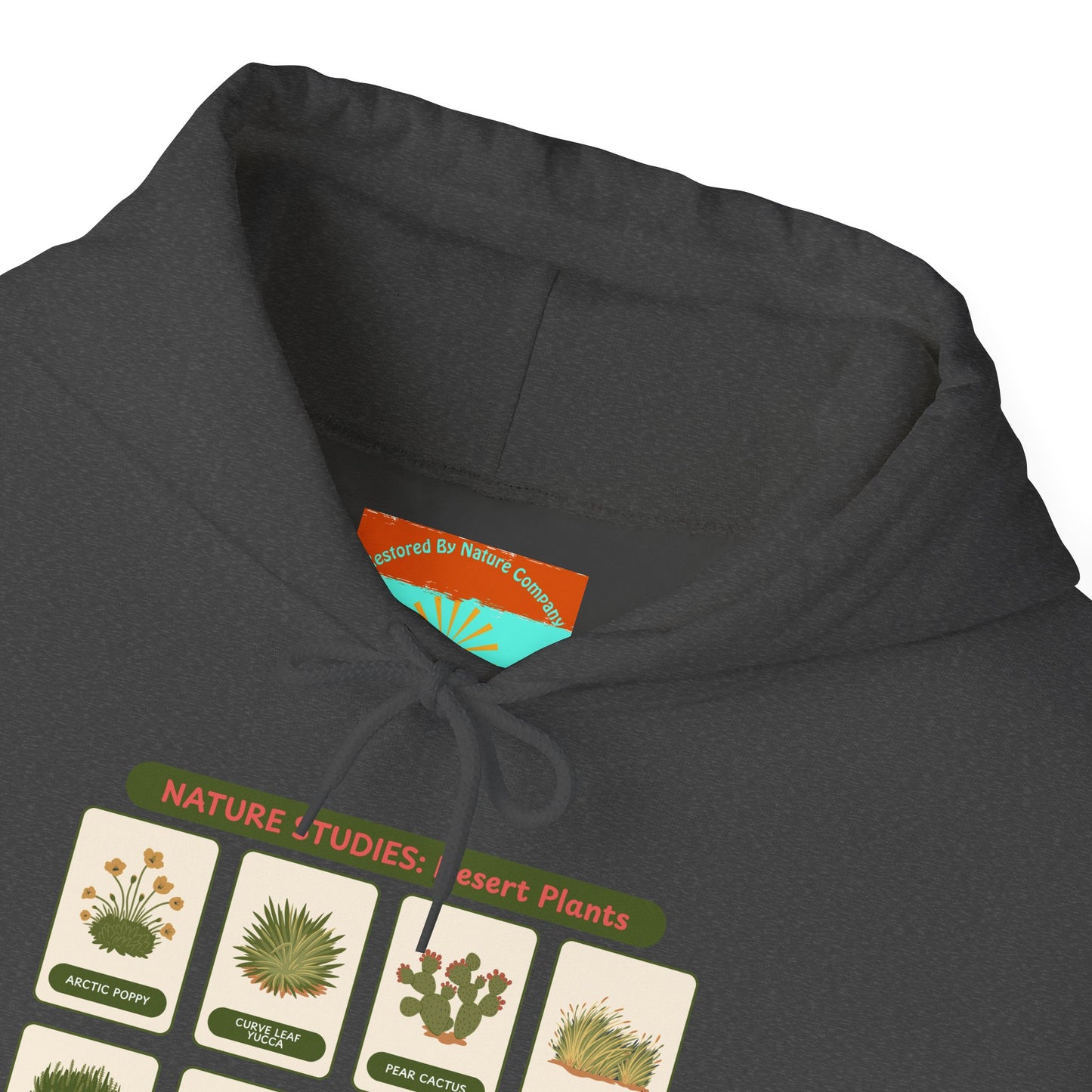 Nature Studies: Desert Plants Hoodie