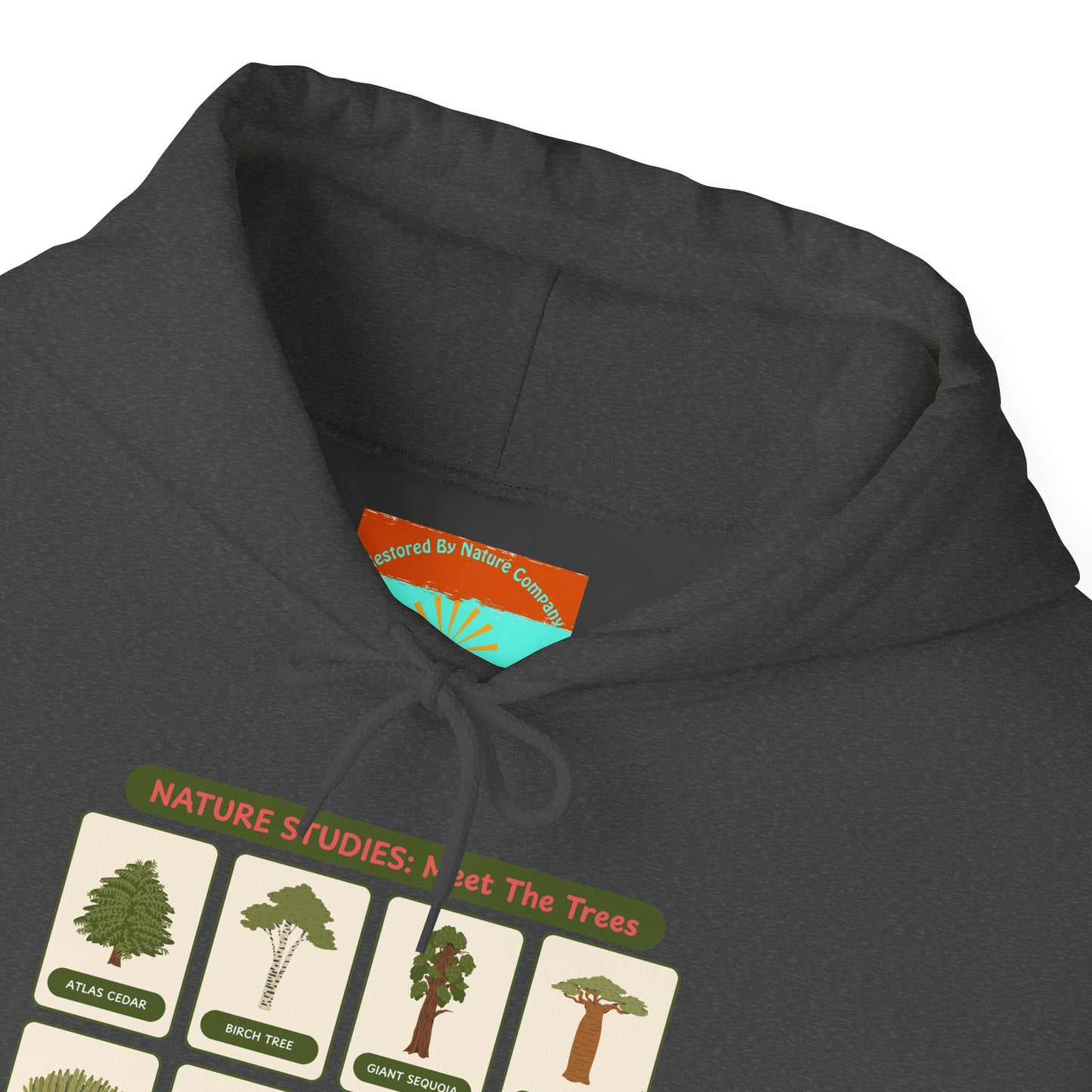 Nature Studies: Meet The Trees Hoodie