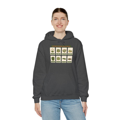 Nature Studies: Desert Plants Hoodie