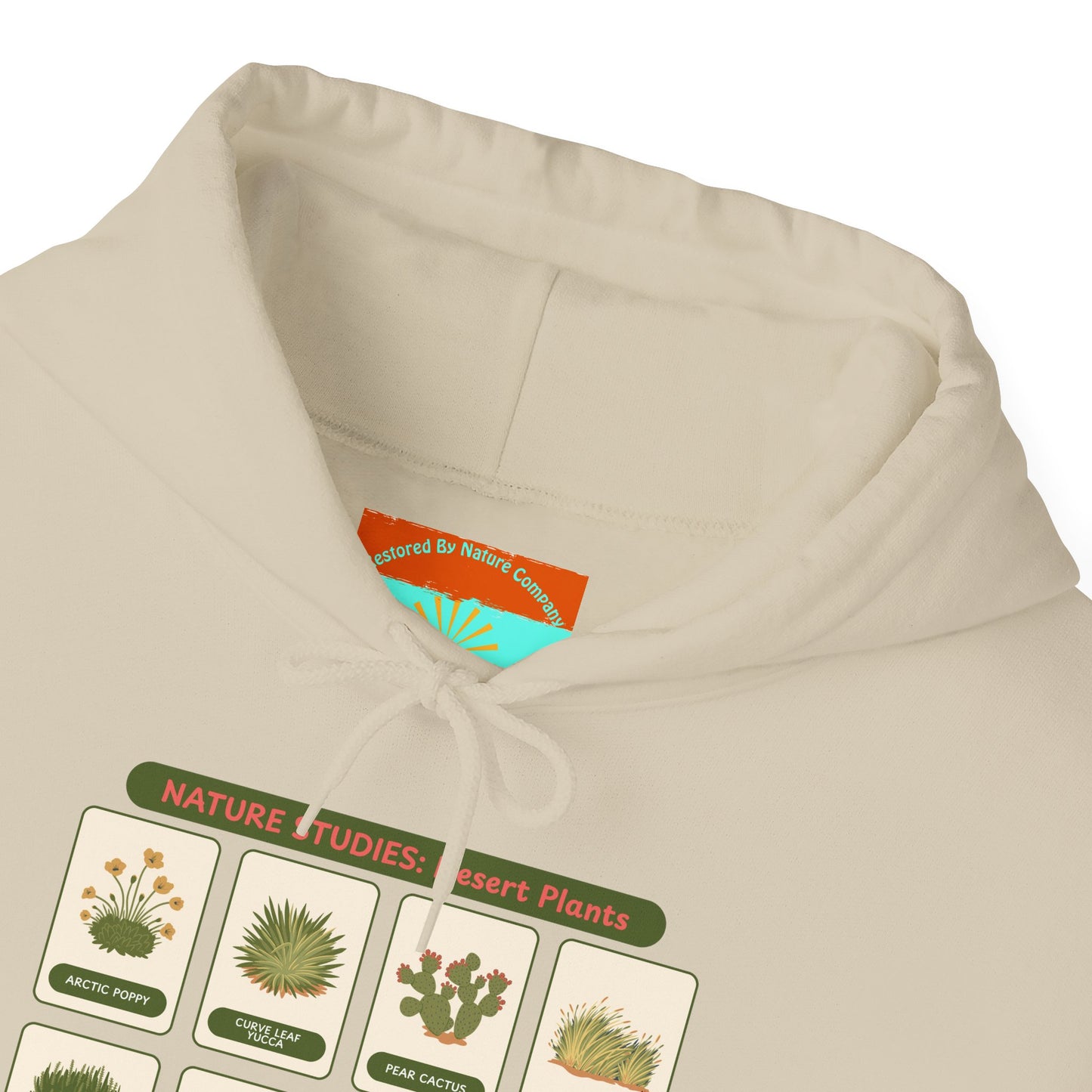 Nature Studies: Desert Plants Hoodie
