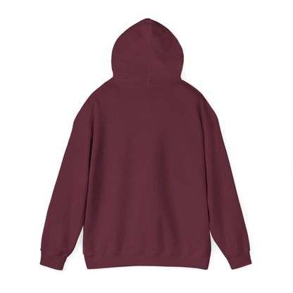 Witch's Broomstick Hoodie