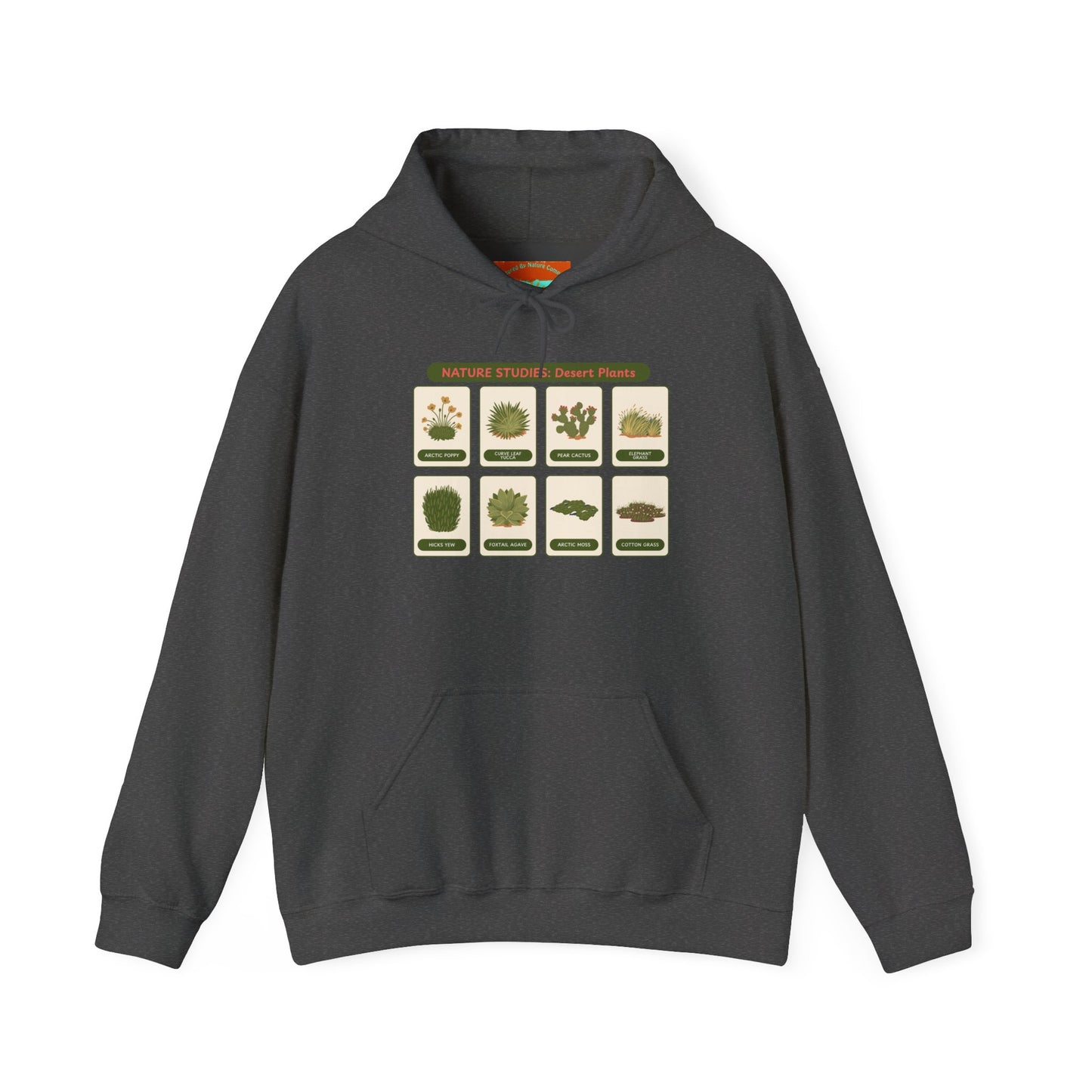 Nature Studies: Desert Plants Hoodie